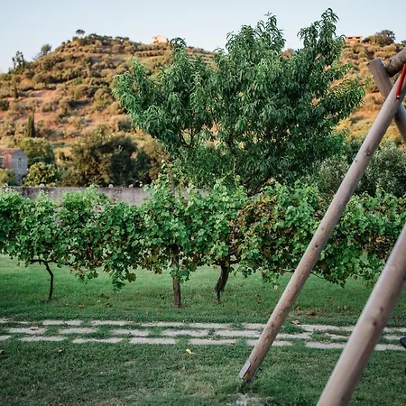 Valle Degli Agrumi *